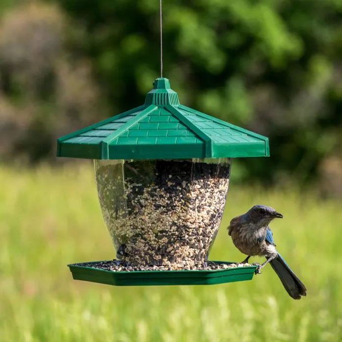 The Grand Chalet Wild Bird Feeder