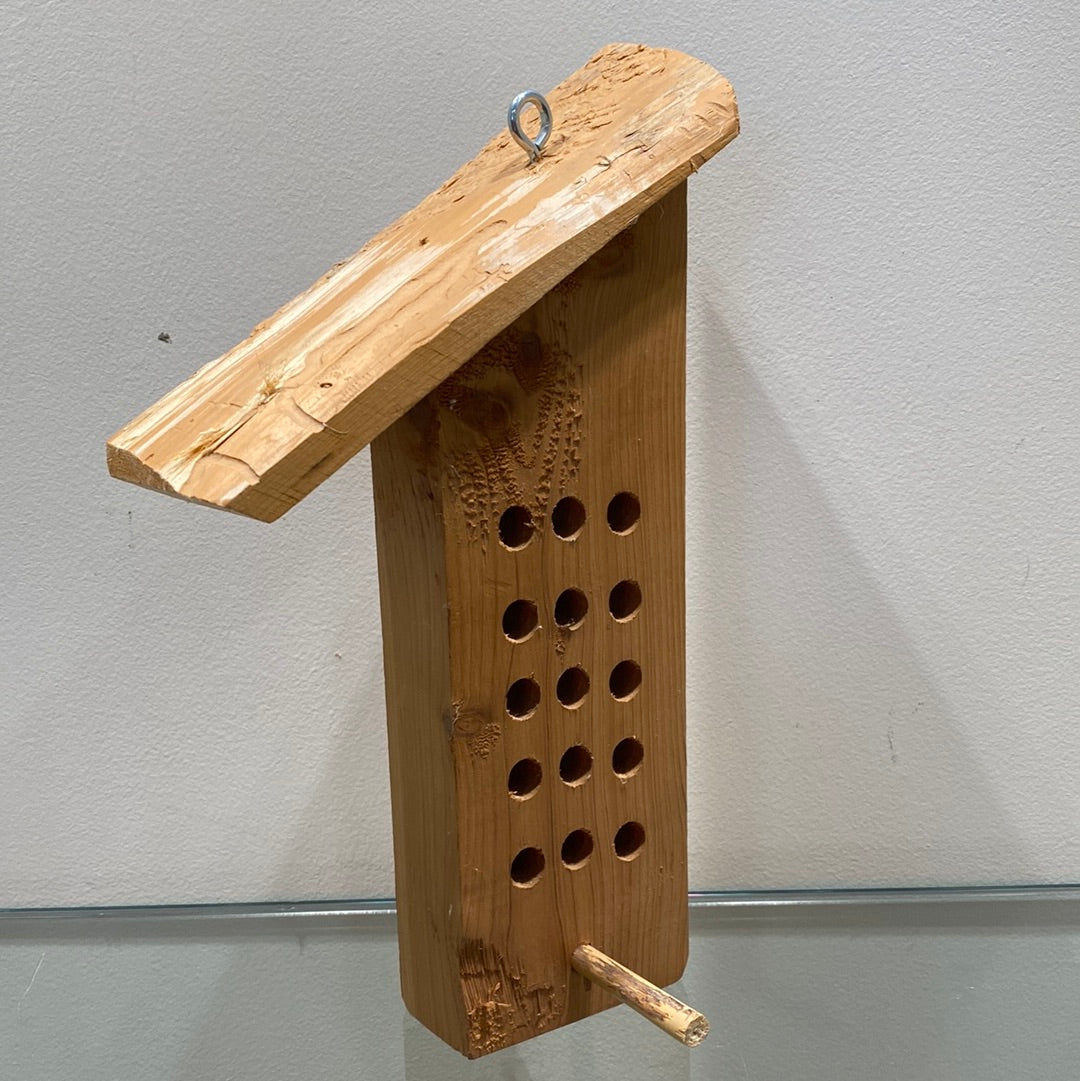 Tree Icing Feeder