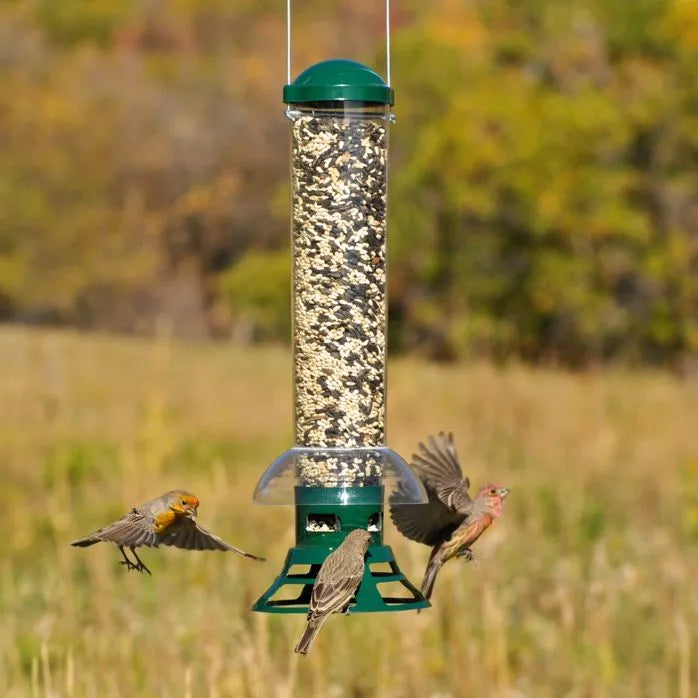 Squirrel Slammer Wild Bird Feeder