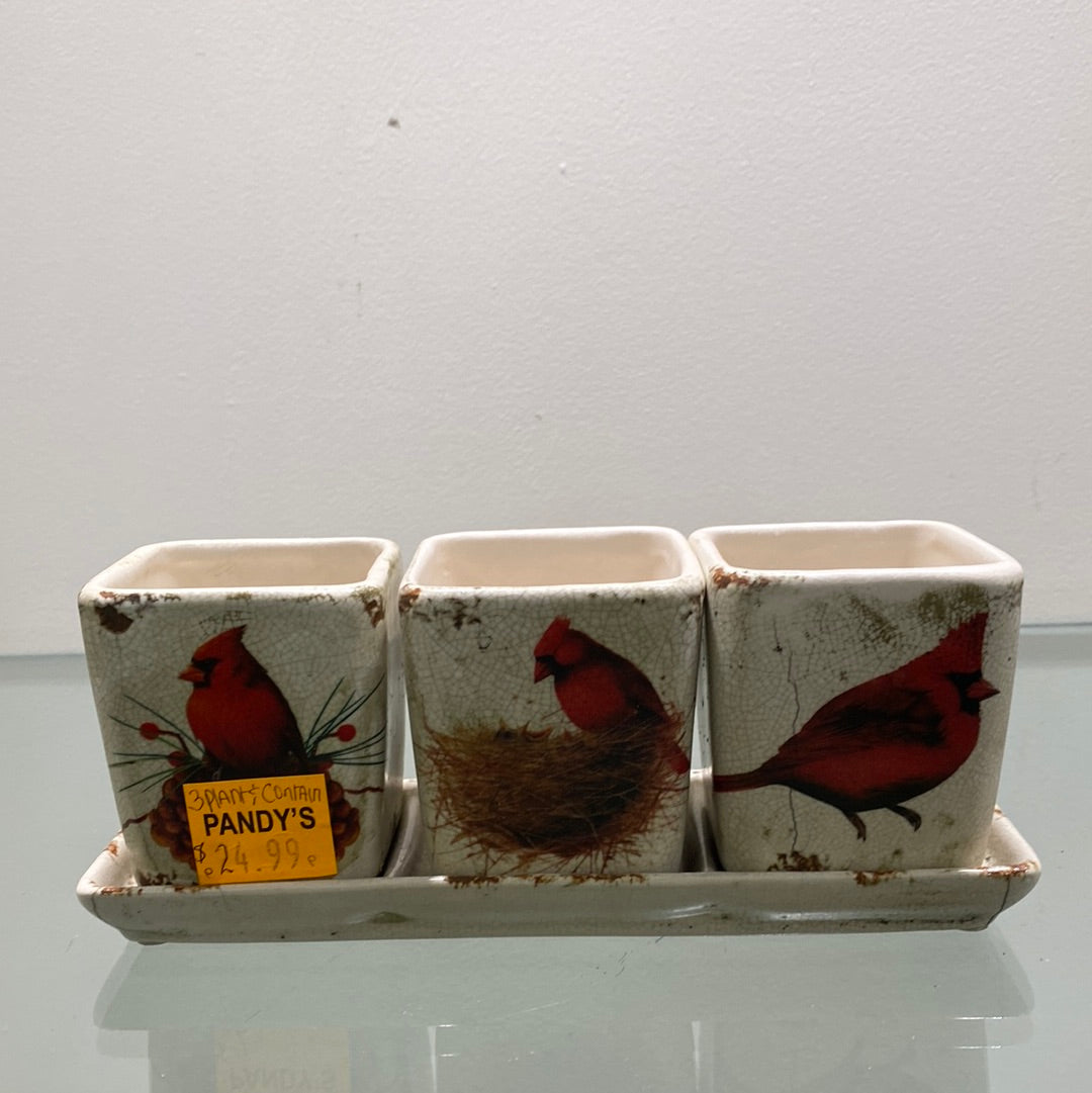 4 Piece Cardinal Set