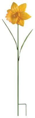 White Daffodil Stake 42”