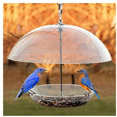 Blue Bird and Song Bird Feeder