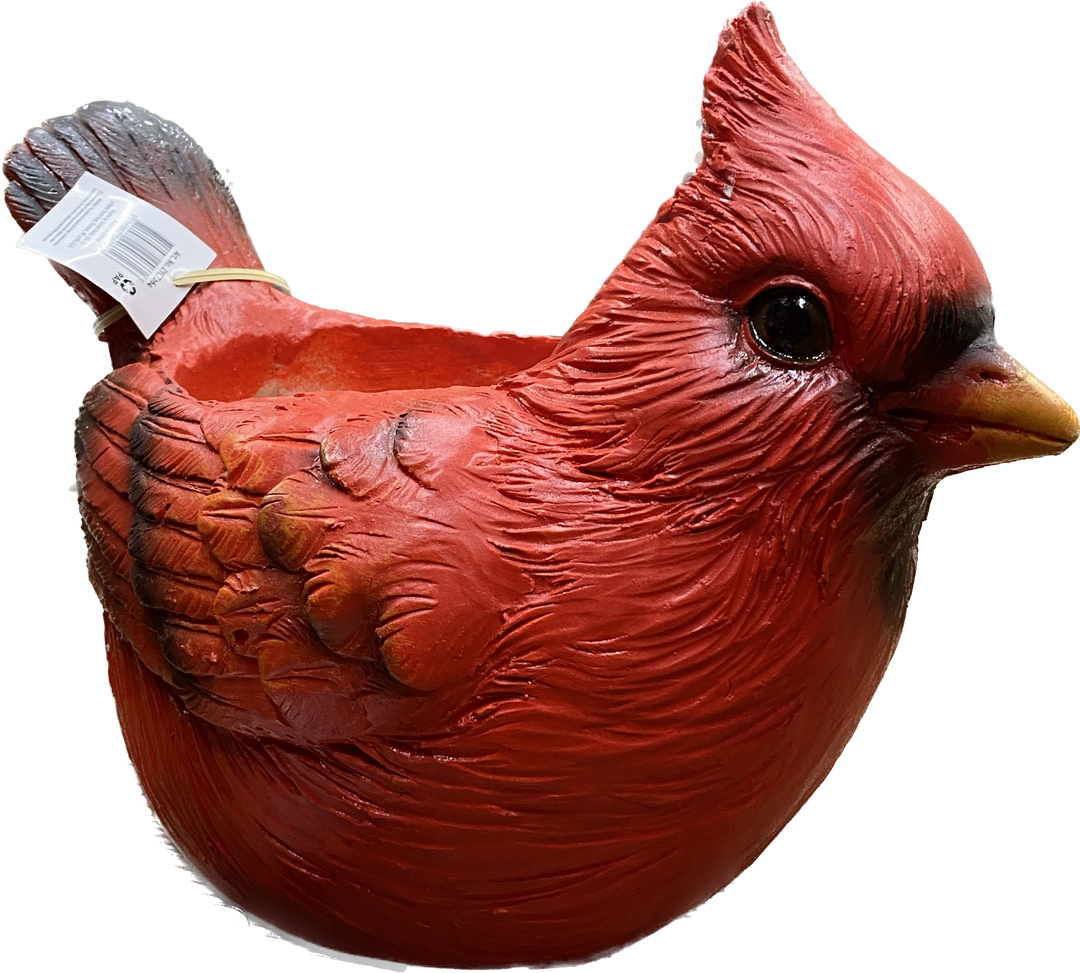 Cardinal Planter
