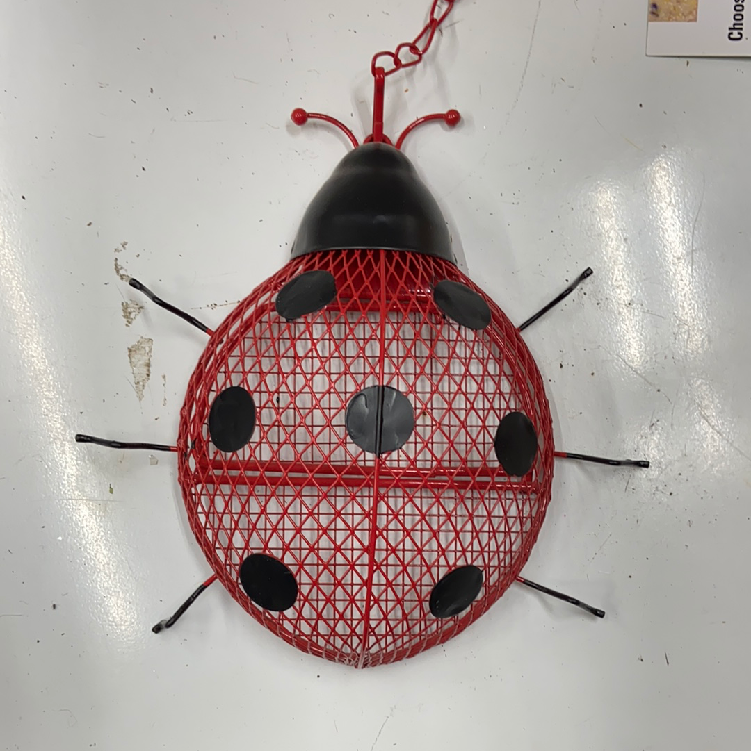 Bird Feeder Lady Bug