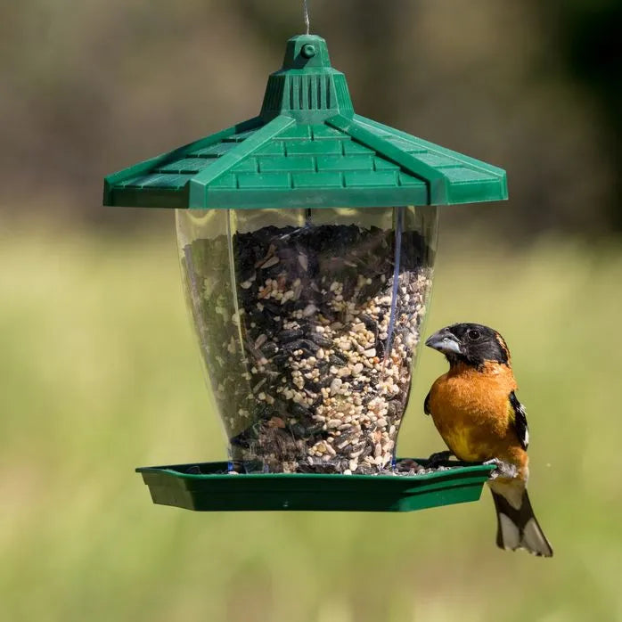 The Chalet Wild Bird Feeder