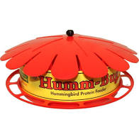 Hummingbird Feeder