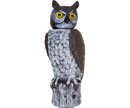 Owl With Rotating Head