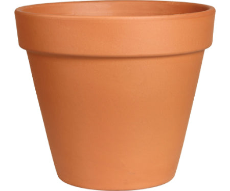 8.3" Standard Clay Pot