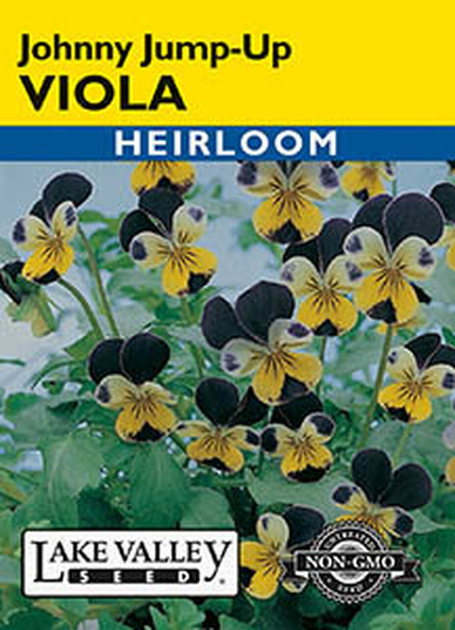 VIOLA JOHNNY JUMP-UP HEIRLOOM