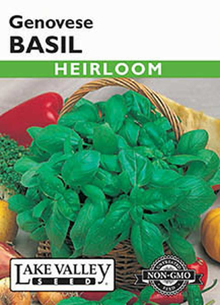 BASIL GENOVESE HEIRLOOM