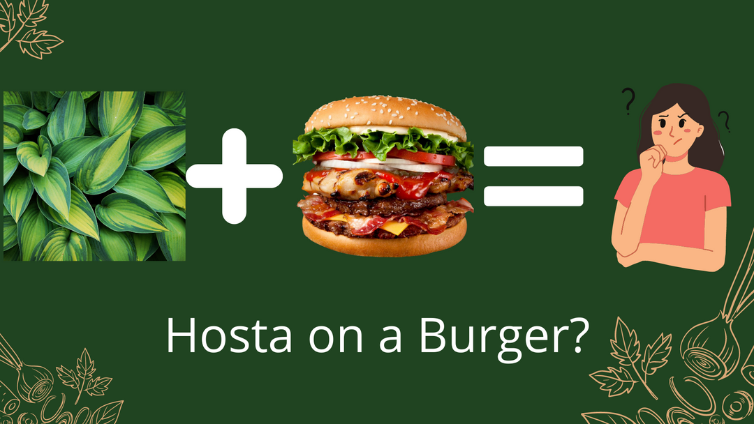 Hosta's on a Burger?