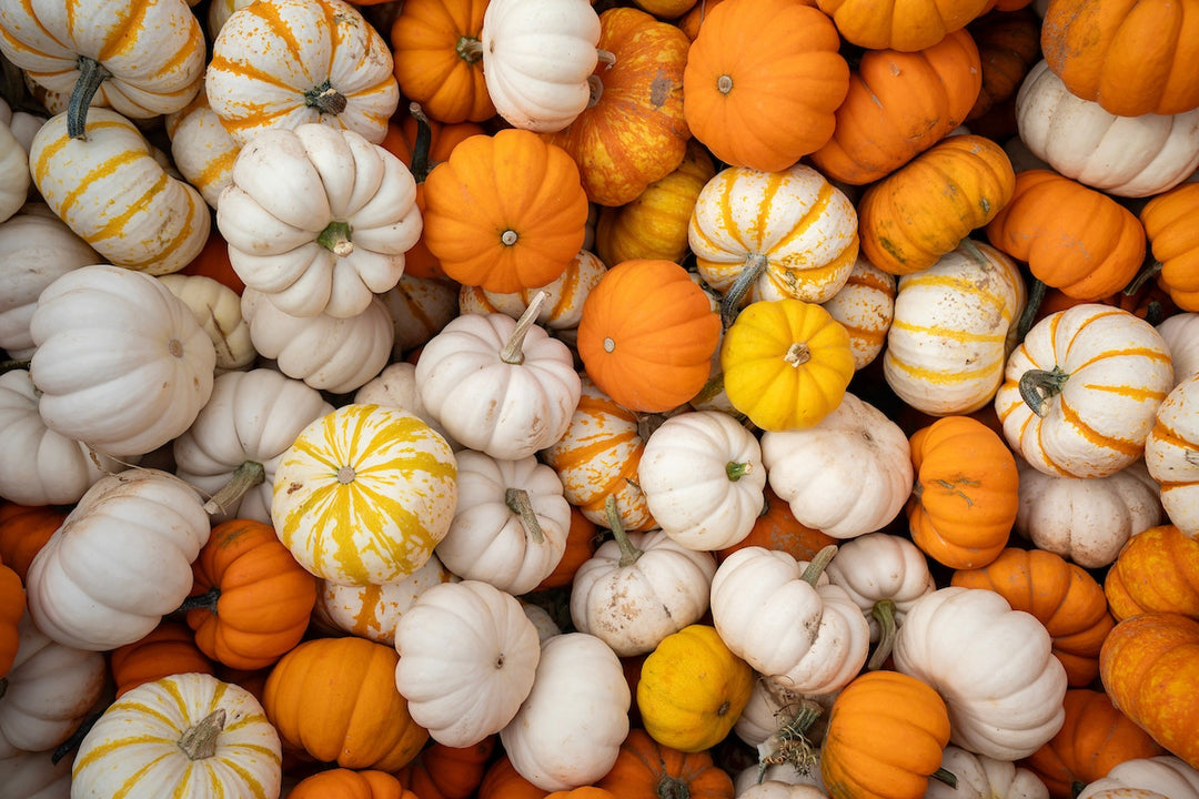 Pumpkins & Gourds