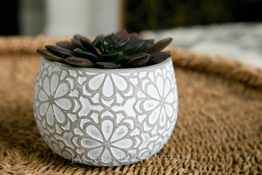 5.5" Marguerite Planter