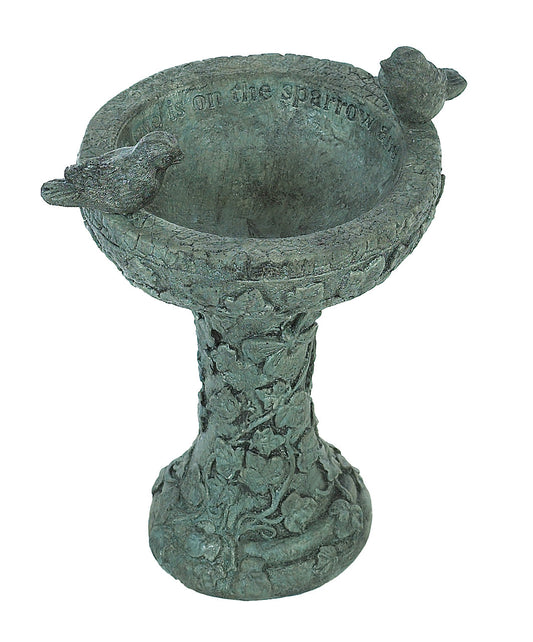 Eye on Sparrow Birdbath