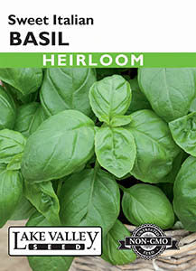 BASIL SWEET ITALIAN  HEIRLOOM