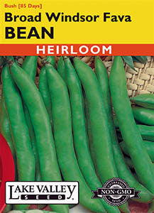 BEAN FAVA BROAD WINDSOR HEIRLOOM