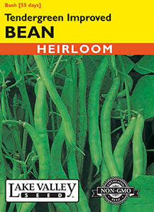 BEAN BUSH TENDERGREEN IMPROVED  HEIRLOOM