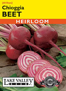 BEET CHIOGGIA  HEIRLOOM