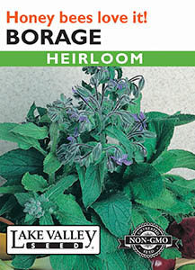 BORAGE HEIRLOOM