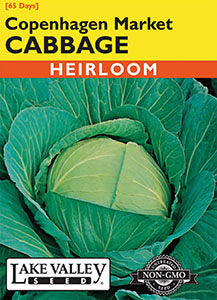 CABBAGE COPENHAGEN MARKET  HEIRLOOM