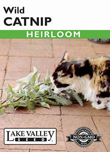 CATNIP WILD HEIRLOOM