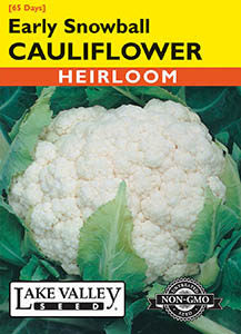 CAULIFLOWER EARLY SNOWBALL  HEIRLOOM