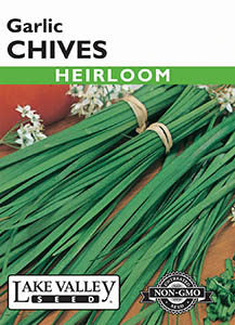 CHIVES GARLIC  HEIRLOOM