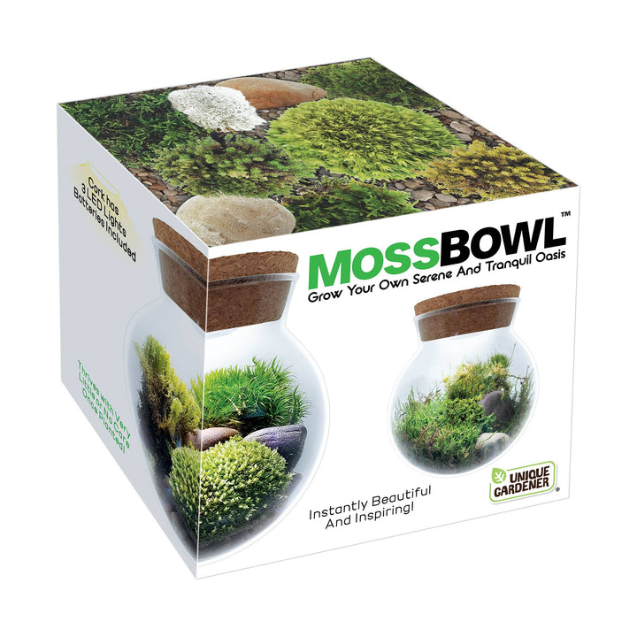 MossBowl Glass Terrarium