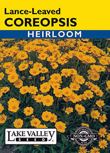 COREOPSIS LANCE-LEAVED  HEIRLOOM