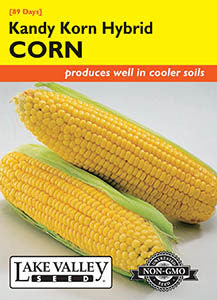 CORN SWEET KANDY KORN HYBRID