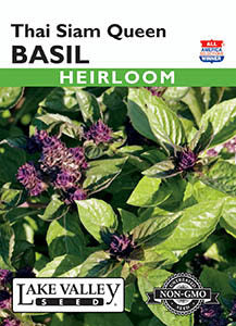 BASIL THAI SIAM QUEEN  HEIRLOOM