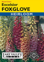 FOXGLOVE EXCELSIOR MIXED COLORS   HEIRLOOM