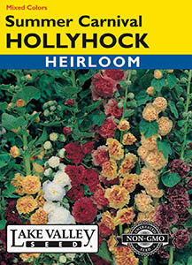 HOLLYHOCK SUMMER CARNIVAL MIXED COLORS   HEIRLOOM
