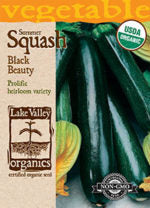 ORGANIC SQUASH SUMMER BLACK BEAUTY   HEIRLOOM