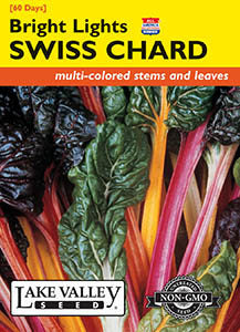 SWISS CHARD BRIGHT LIGHTS