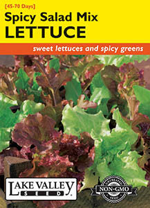 LETTUCE SPICY SALAD MIX