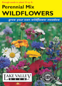 WILDFLOWERS PERENNIAL MIXTURE