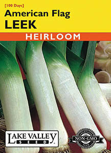 LEEK AMERICAN FLAG   HEIRLOOM