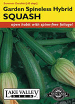 SQUASH SUMMER GARDEN SPINELESS HYBRID