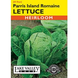 LETTUCE ROMAINE PARRIS ISLAND  HEIRLOOM