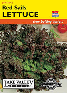 LETTUCE RED SAILS