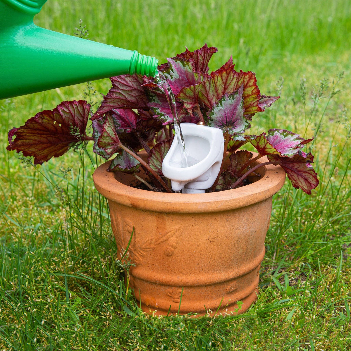 Urinal Plant Stake