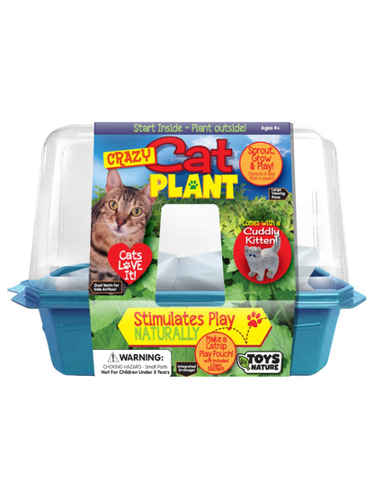Crazy Cat Plant Mini World Terrarium