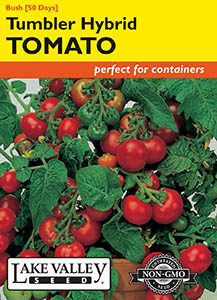 TOMATO BUSH TUMBLER HYBRID