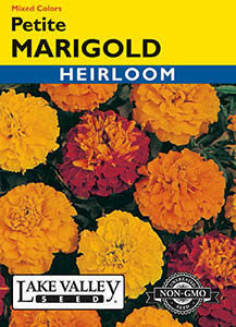 MARIGOLD PETITE MIXED COLORS  HEIRLOOM