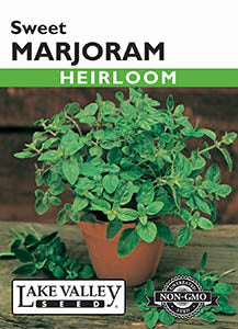 MARJORAM SWEET HEIRLOOM