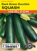 SQUASH SUMMER ZUCCHINI DARK GREEN HEIRLOOM