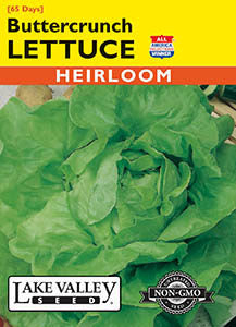 LETTUCE BUTTERCRUNCH   HEIRLOOM