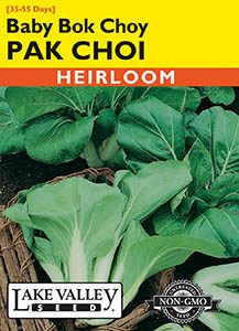 PAK CHOI BABY BOK CHOY  HEIRLOOM