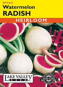 RADISH WATERMELON  HEIRLOOM